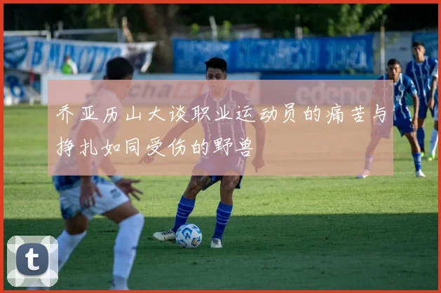乔亚历山大谈职业运动员的痛苦与挣扎如同受伤的野兽